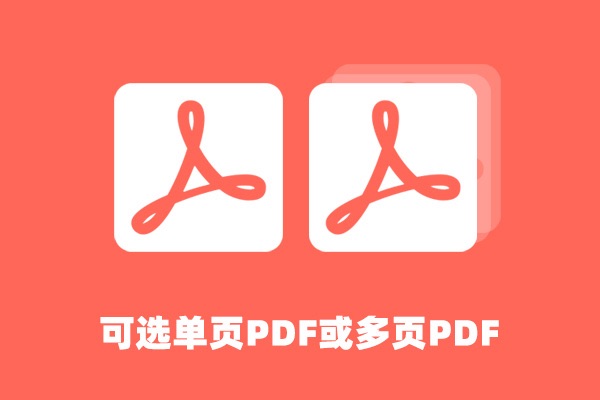 CoolVat升级日志：新增多页PDF报告生成功能